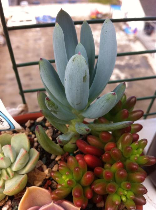 ×î¸ß¼ì·ÏÖ¹²¿·Ö˾·¨½âÊÍ ¾ßÌåÎļþĿ¼ÔÚÕâÀï