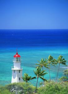 㽭:ɧŵ绰ռ 110ܽӾĳΪЧ