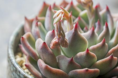 工信部:2021年我国将新建5G基站60万个以上