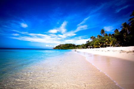 日本发现一入境者感染在南非出现的变异新冠病毒