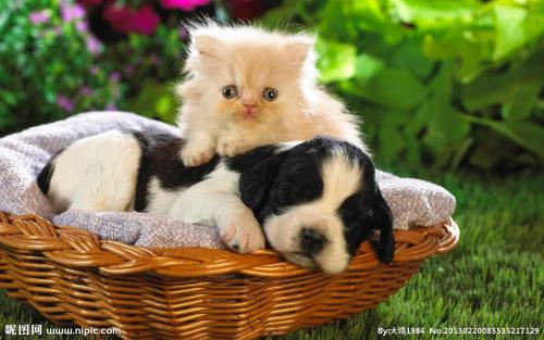 2025ÄêÖйúµçÓ°º£ÍâÆ±·¿ÊÕÈëÒѳ¬2024ÄêÈ«Äê