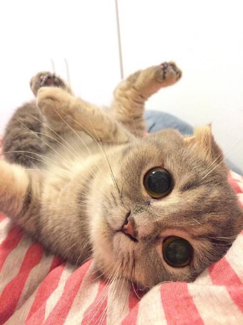 APPѹرգҪûһ˵Ļᡱ