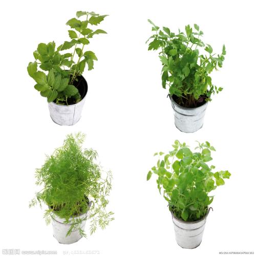 李尚福与日本防卫大臣通话 正式启用中日防务部门海空联络机制直通电话