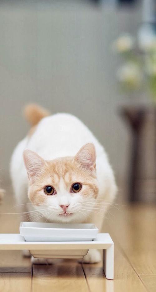 2025й·гüɽɽվѿǧẽ