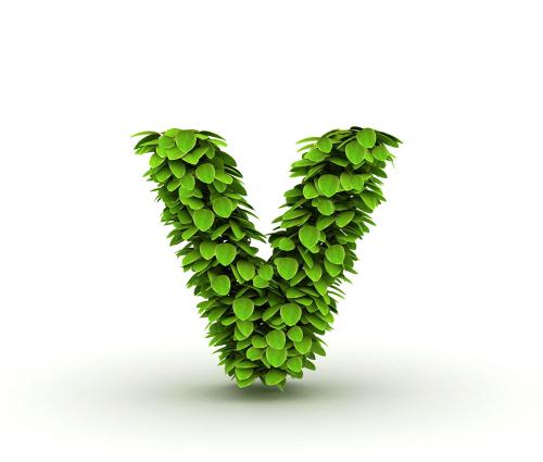 ·𽺲ϡԴγá·ָܾϸֳչʵ