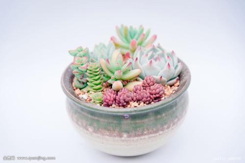 ¹ú·À¿Æ¹¤¾Ö¡¢¹ú¼ÒÎÄÎï¾ÖЯÊÖ¼ÓÇ¿¾ü¹¤ÎÄÎï±£»¤