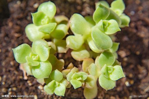 ±±¾©½ñÈÕ×î¸ßÆøÎÂ31¡æ×óÓÒ ½«ÓнµË®ÌìÆø¹ý³Ì